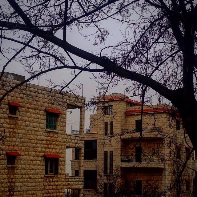~ 🌫☁️~ (Bhamdoûn, Mont-Liban, Lebanon)