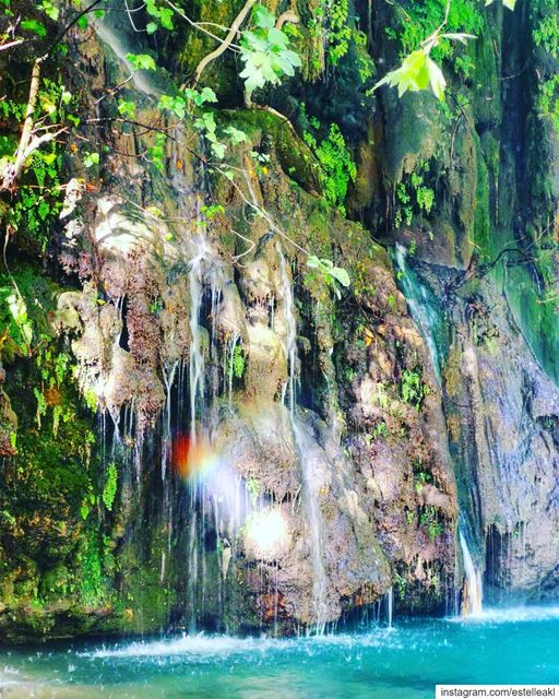 🌈☘️ (Chouf)