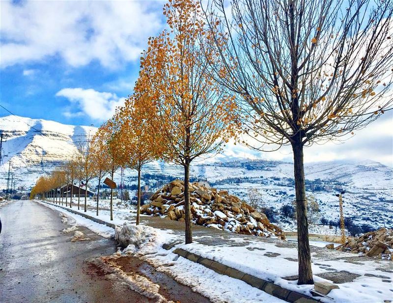 ❄️🍁 faraya ... (Faraya, Mont-Liban, Lebanon)