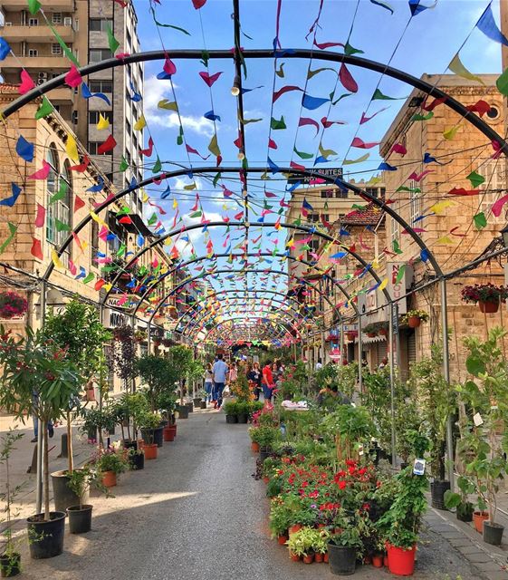 🇷🇺⬇️ Floral mood in Jounieh 💐🌺🌷🌸⠀Ставим ❤️ и читаем до конца, там б (Jounieh Old Souks Tmacha W Shar)