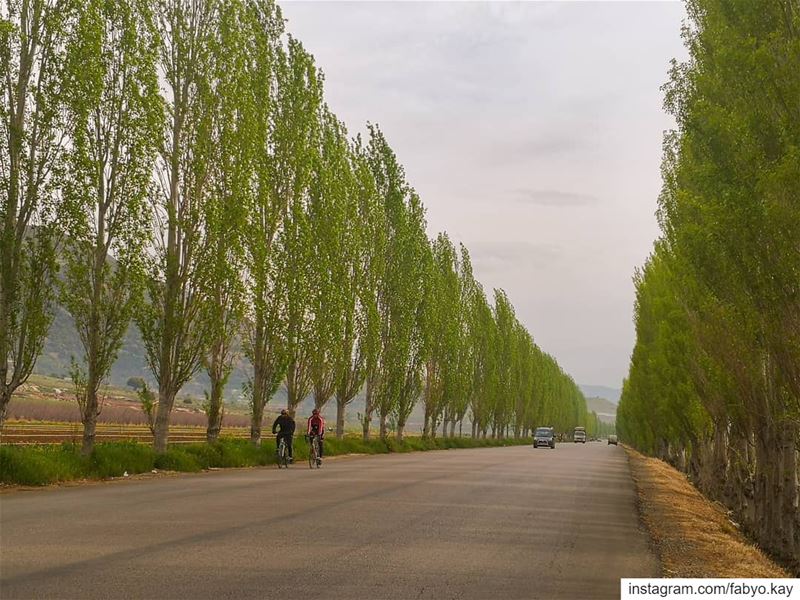 🚴‍♂️... Happy🚵‍♂️ weekend...🚴‍♀️_______________________________Photo... (Bekaa Valley)