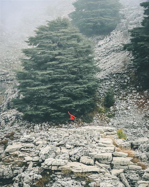 🏃🏻‍♂️  jubranjumps ...... lifeofadventure  folkmagazine  ... (Lebanon)