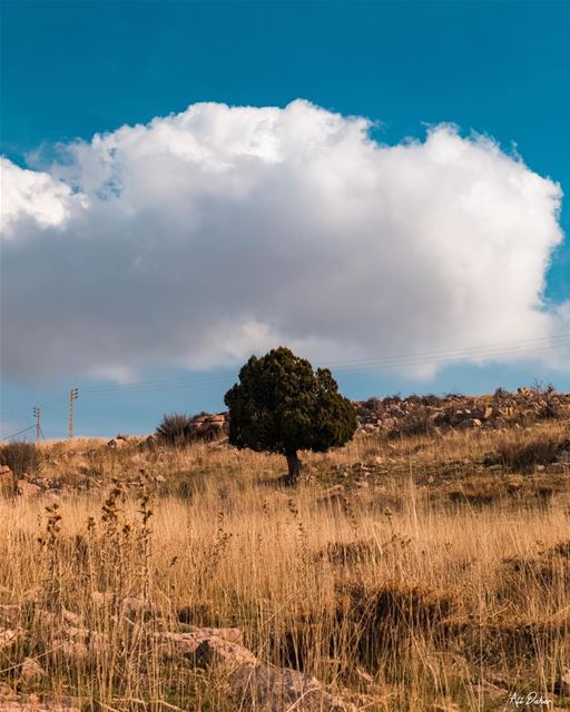 🌳☁️..... landscape landscapephotography photographer... (Qamou'aa)