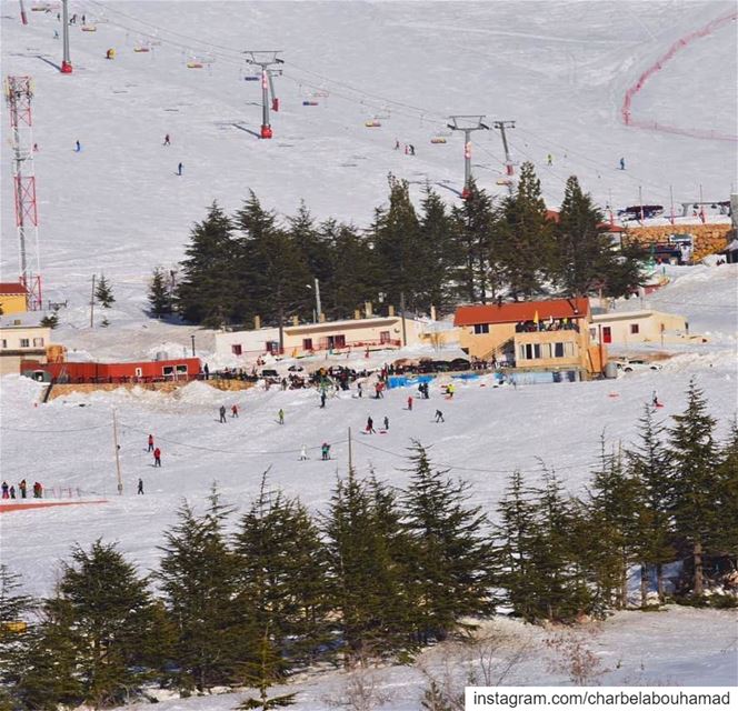 ⛷️🏂  lebanon  livelovelebanon  livelovebeirut  beiruting ig_lebanon  ... (Cedars of God)