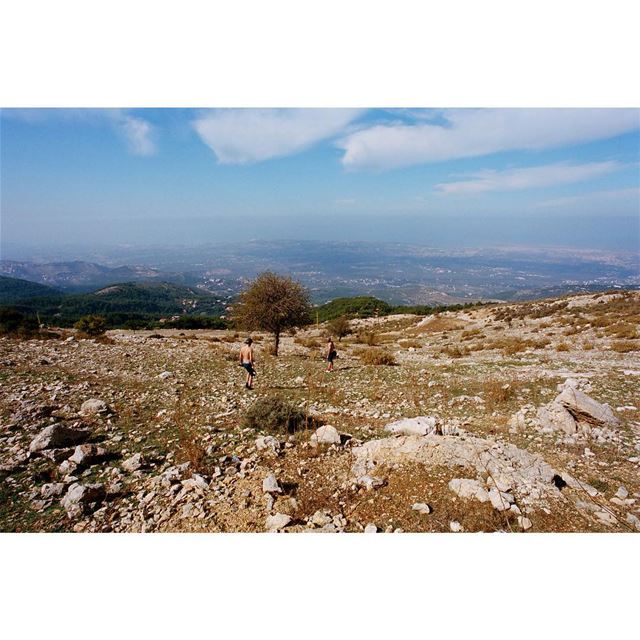 ⛰🕵️🌵looking for Niemeyer's work in the mountains——— kodak  35mm ... (Ehden, Lebanon)