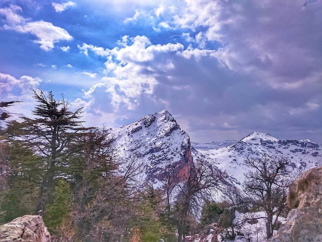 🏞 🏔 ❄️ 🔝  love  instagood  photooftheday @top.tags  tbt  cute  me ... (Cedars Of Tannourine)