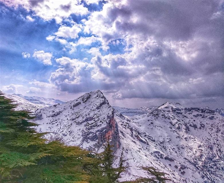 ❄️ 🏔 🌿 🔝  love  instagood  photooftheday @top.tags  tbt  cute  me ... (Cedars Of Tannourine)