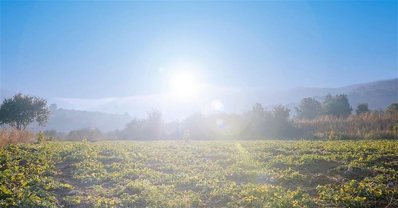 🌳☀️⛰ mountains  sun  shining  landscape   lebanon lebaneseview...