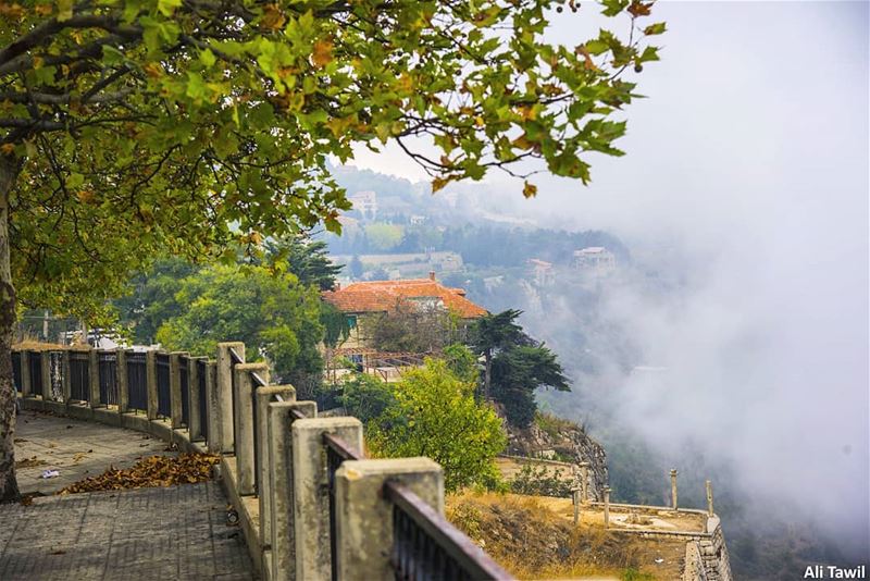 🏡☁️  nature  naturelovers  fog  beautiful  picoftheday  photography ... (Sawfar, Mont-Liban, Lebanon)