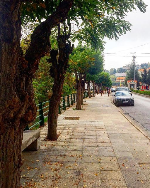 🍂+🚶🏻‍♂️+🍃= Relax  autumn  autumnleaves  season  walk  nature  village... (Rayfun, Mont-Liban, Lebanon)