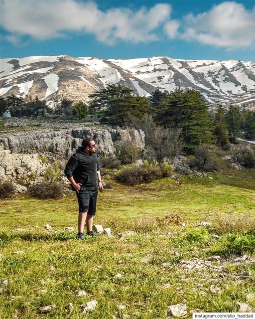 🇱🇧 ❤️ 👆Swipe   LiveLoveTannourine  LiveLoveBeirut  LiveLoveLebanon ... (Tannourine Cedar Forest Nature Reserve)