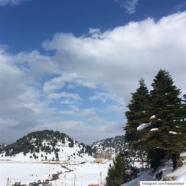 🌲❄️...... wearelebanon  livelovelebanon  proudlylebanese ... (Qamou'aa)