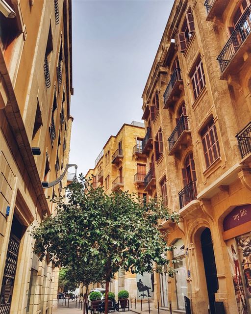 🇷🇺⬇️ Welcome to Beirut, Paris of the Middle East ❤⠀Майк подарил мне нов