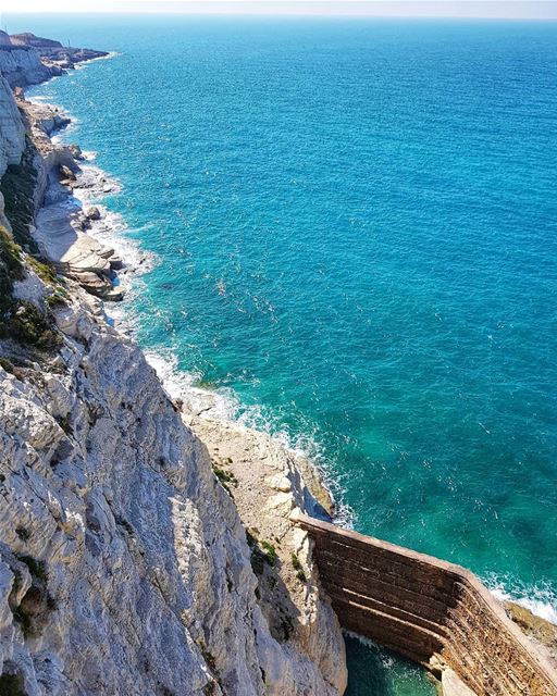 ☀️🌊 Мир, у меня к тебе дело. Нет, кота можно уже не предлагать, перегорела (Lebanon)