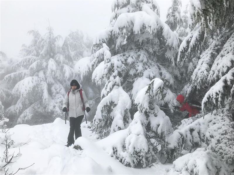 ☃️❄️🌧 (Arz el Bâroûk)