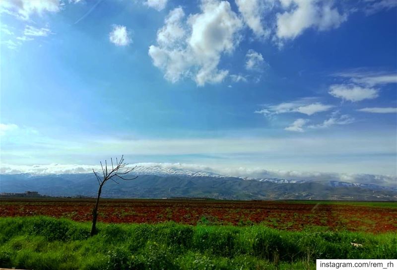 ~🌱❄️☀️~ (Baalbek, Lebanon)