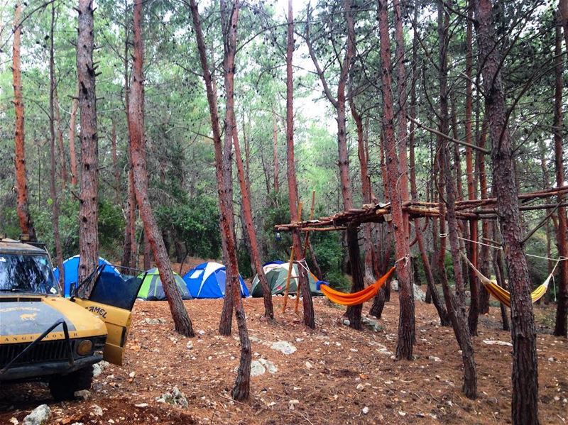 ⛺️🏕⛺️🏕👌🏻🇱🇧  camping  campinglife ...