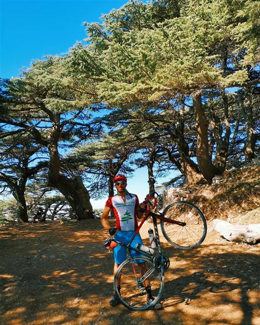 🚵‍♂️🚵‍♂️.  cycling... (Al Shouf Cedar Nature Reserve)
