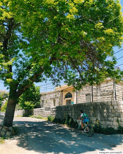 🚴‍♂️🌲🌄🚴‍♀️🌲...  cycling  instagood  webstapick  photooftheday ... (Maasser Ech Chouf, Béqaa, Lebanon)