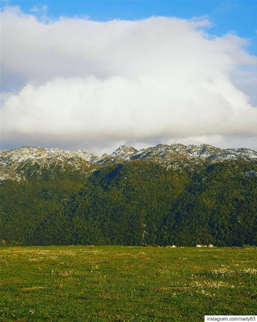 ⛰️🌲🌲⛰️...  mountains  instagood  snow  webstapick  photooftheday ... (Mount Lebanon Governorate)