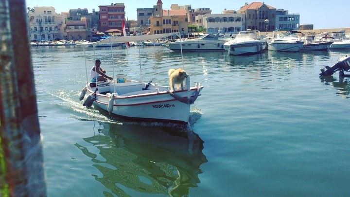 🇱🇧☀️🇱🇧🌊🇱🇧☀️🇱🇧 ...  onlyfiliban  lebanon  tyrelebanon  seaside ... (Tyre, Lebanon)