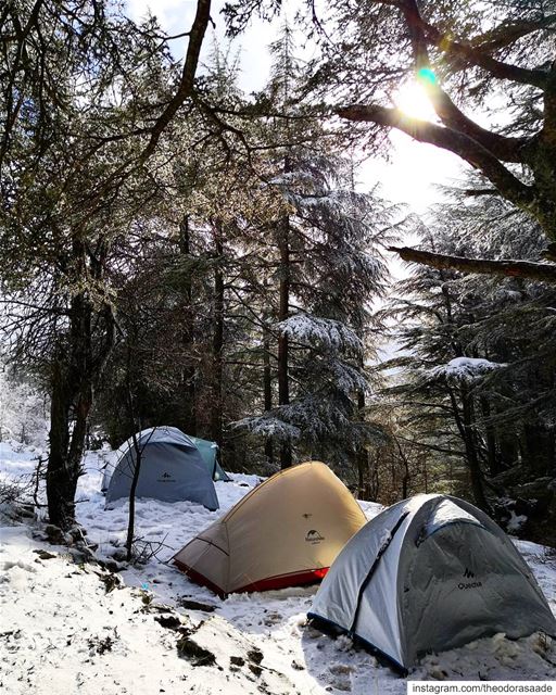📍🏔️🌡️ | Who else is looking forward to more snowy adventures ahead? 🙋🏻 (Arz Tannoûrîne)