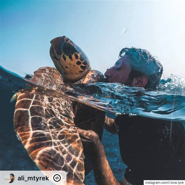 "🐢❤️🐢❤️🐢❤️🐢taken with a @gopro hero 6.... goprohero4  goprohero ...