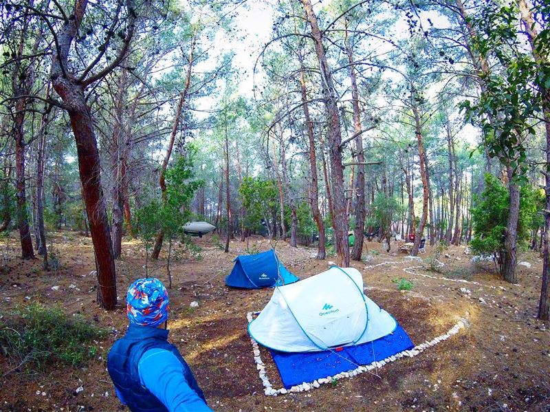 ⛺️⛺️🌲🌳👌🏻🇱🇧