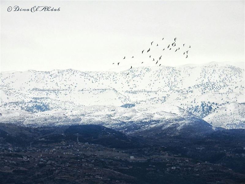 ❄️🌬️____ naturephotography  nature_perfection  naturelovers  natureart ...