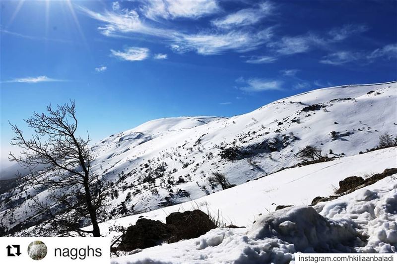 ❄️❄️Let it Snow❄️❄️... Repost @nagghs (@get_repost)・・・❄️❄️Let it...