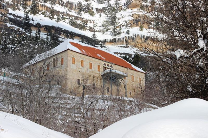 ❄️_______________________________________________________ JDPhotography... (Ehden, Lebanon)