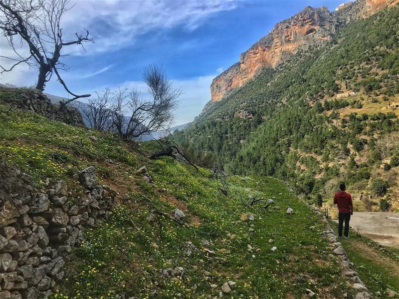 ⚠️After the success of our first hike, we have another one lined up... (Ouâdi Qannoûbîne, Liban-Nord, Lebanon)