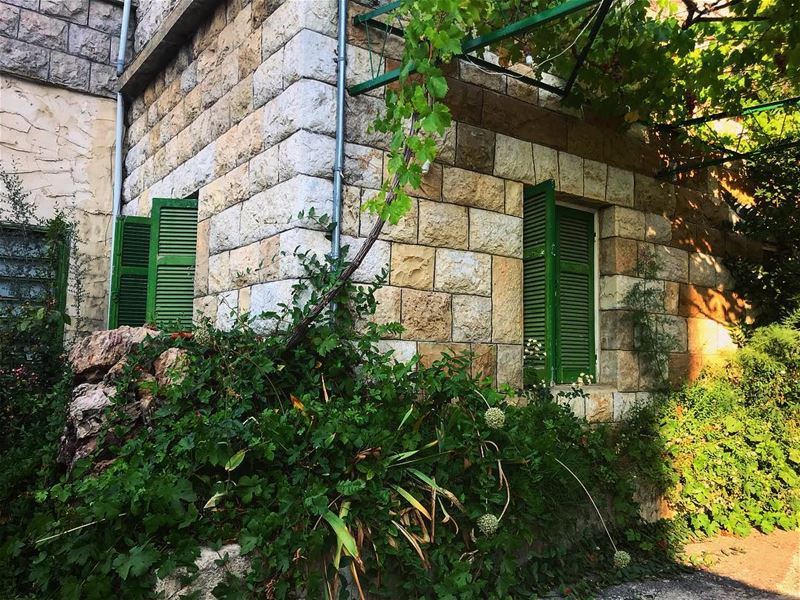 ☘️Green☘️..... lebanon  faraya  house  summer  follow ... (Faraya, Mont-Liban, Lebanon)