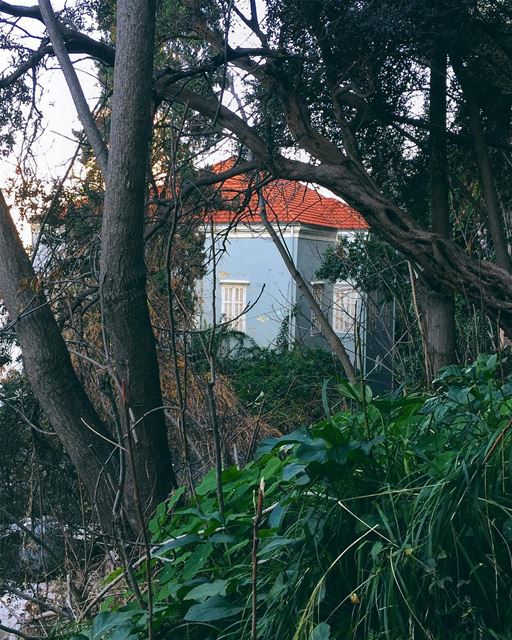 〰️Let’s get lost,somewhere,just me and you〰️ earth  mothernature  house ... (Lebanon)