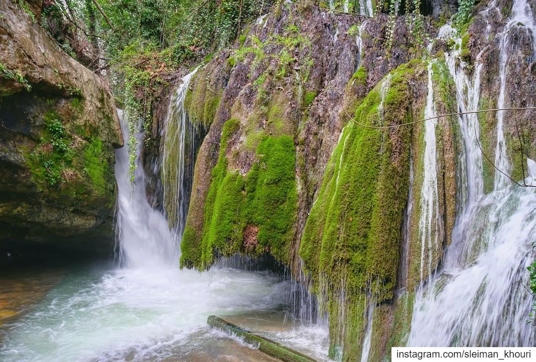 ♦️Run wild and free like a waterfall————————————•Fujifilm 📷Sleiman... (Mount Lebanon)